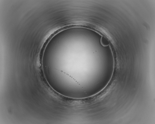 X0000115770883200911131215