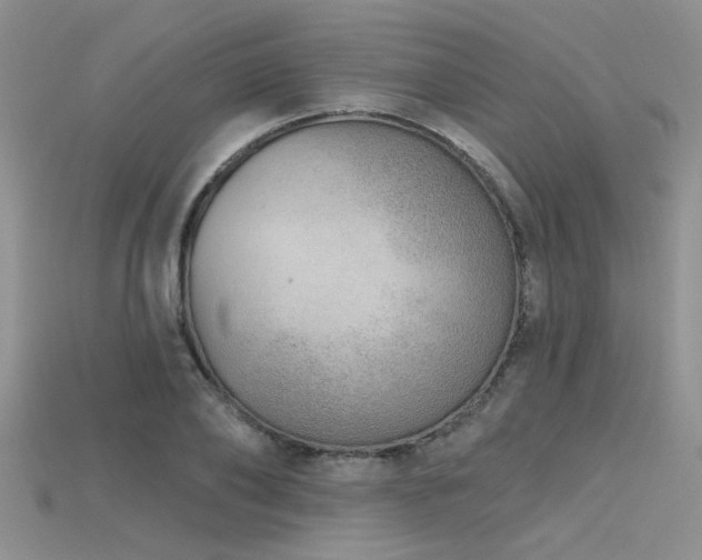 X0000115770886200911131215