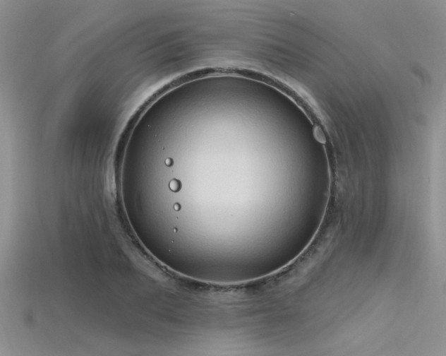 X0000115770887200911131215