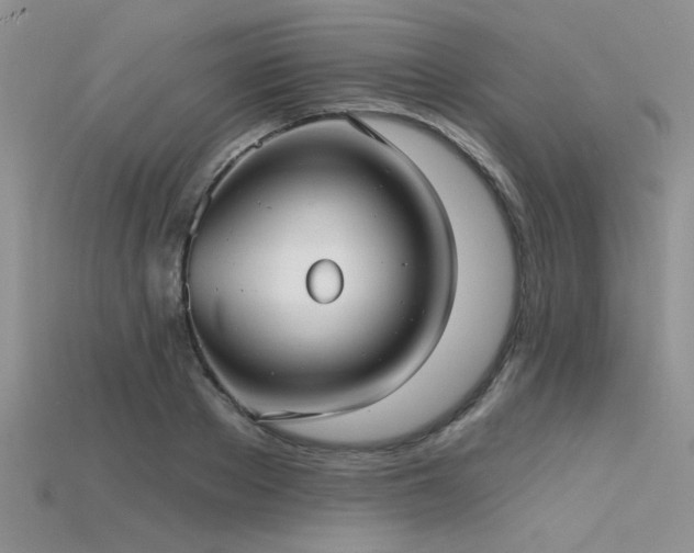X0000115770889200911131215