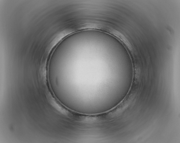 X0000115770890200911131215