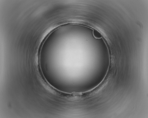 X0000115770891200911131215