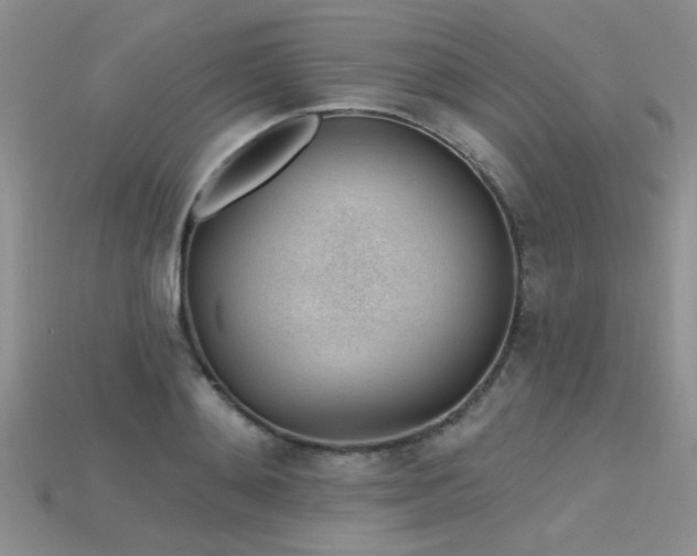 X0000115770892200911131215