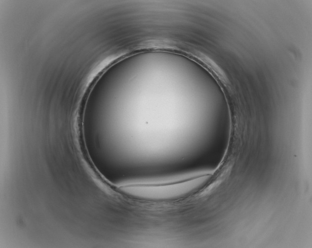 X0000115770893200911131215