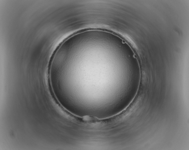 X0000115770895200911131214