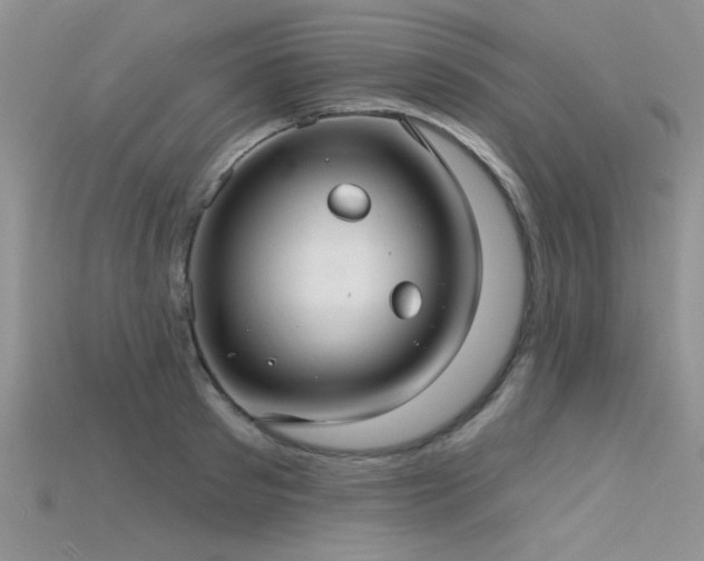 X0000115770897200911131214