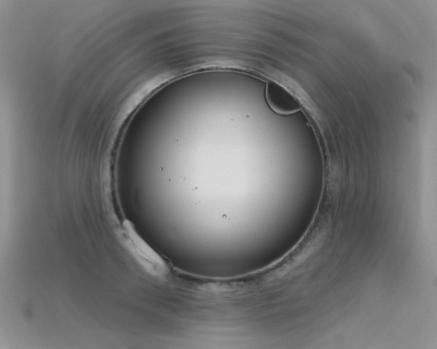 X0000115770898200911131214