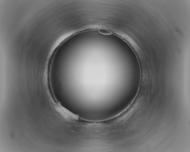 X0000115770902200911131214