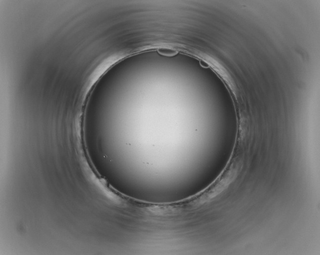 X0000115770906200911131214