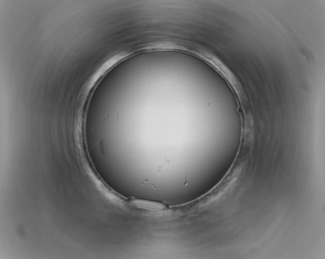 X0000115770909200911131214