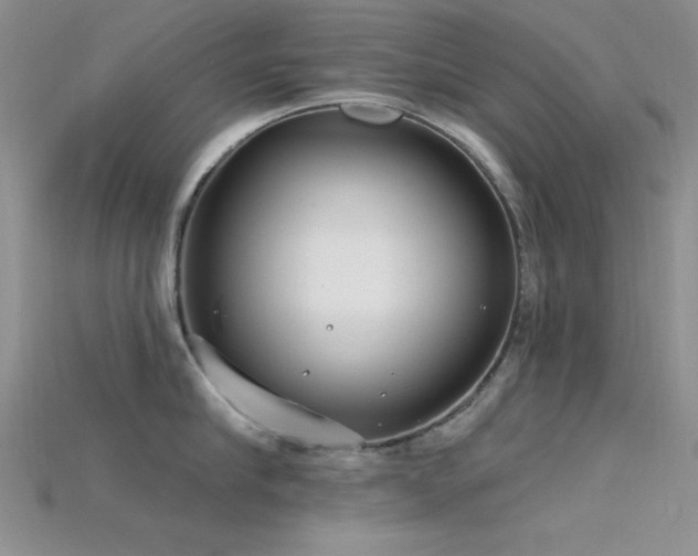 X0000115770910200911131214