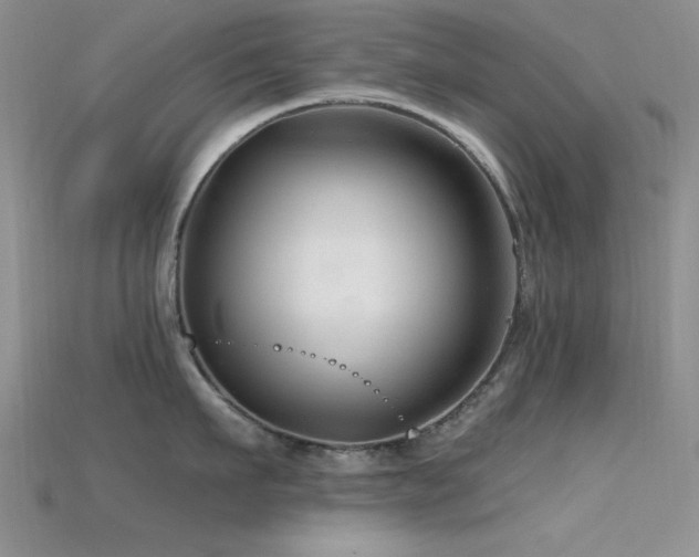 X0000115770911200911131214