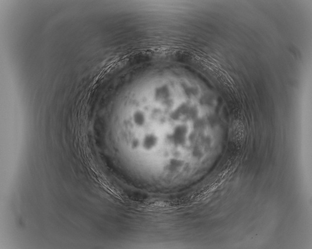 X0000115770913200911131213