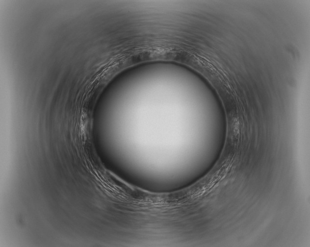 X0000115770914200911131214