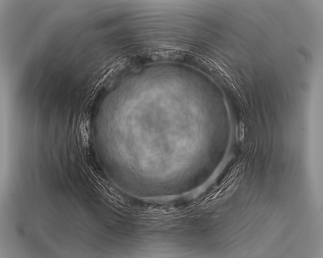 X0000115770915200911131214