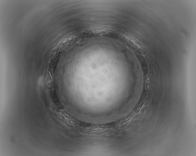 X0000115770917200911131214