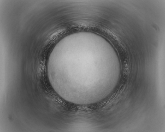 X0000115770918200911131214