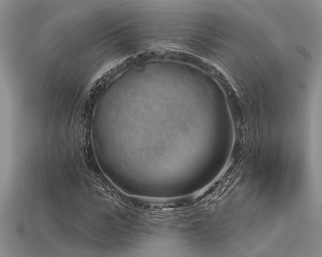 X0000115770919200911131214