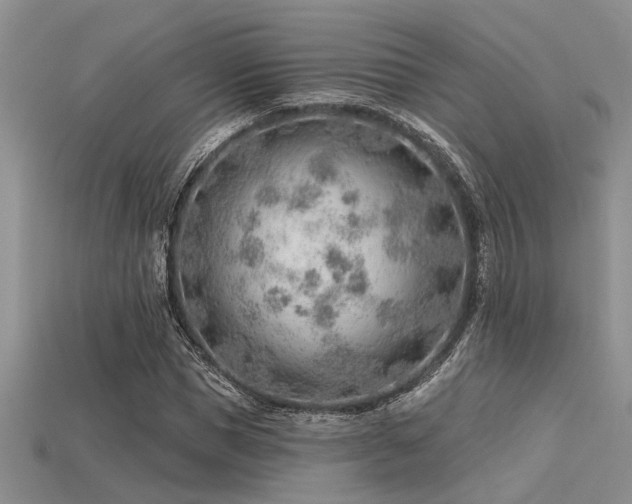X0000115770921200911131214