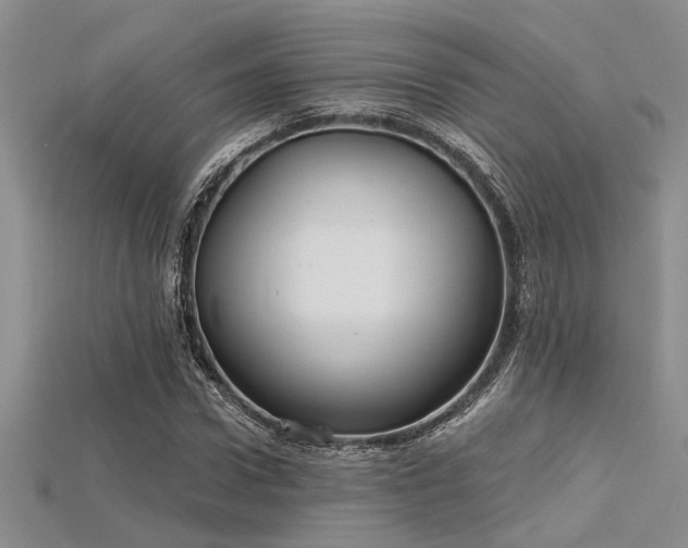 X0000115770922200911131214