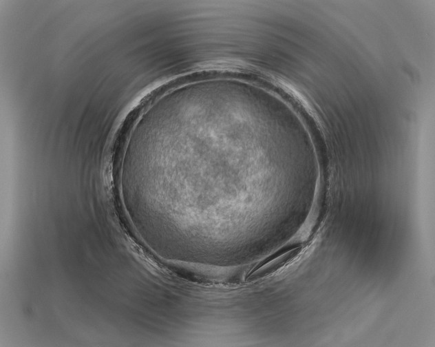 X0000115770923200911131214