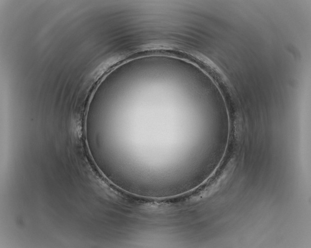 X0000115770929200911131214
