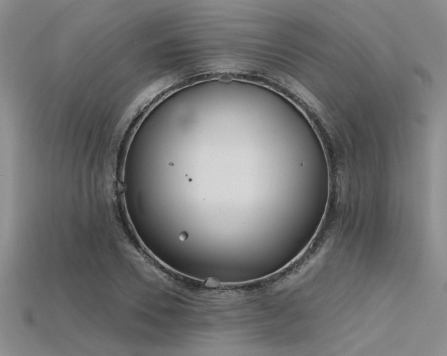 X0000115770930200911131214