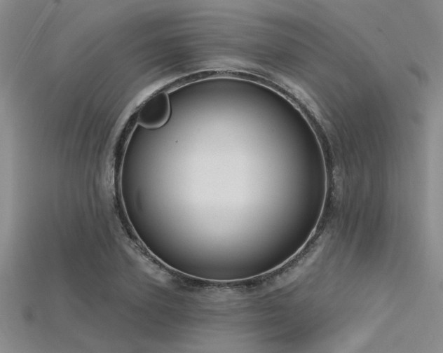 X0000115770931200911131214