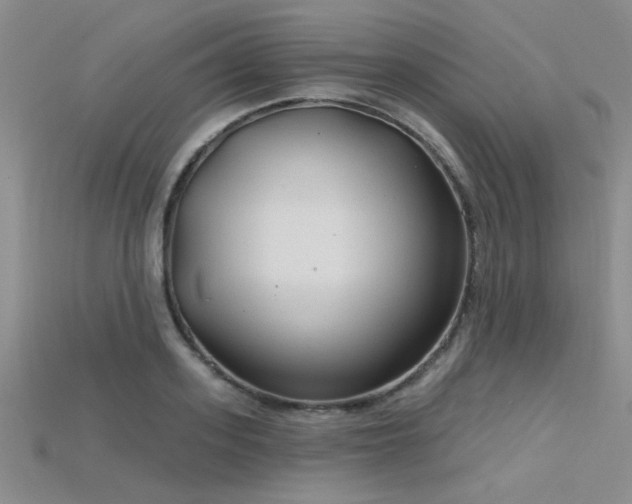 X0000115770939200911131214