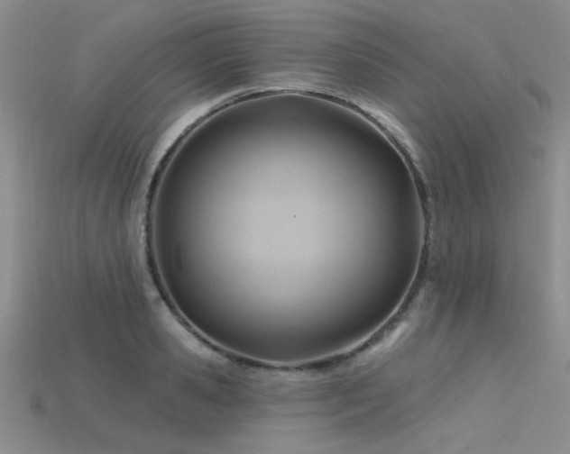 X0000115770941200911131214