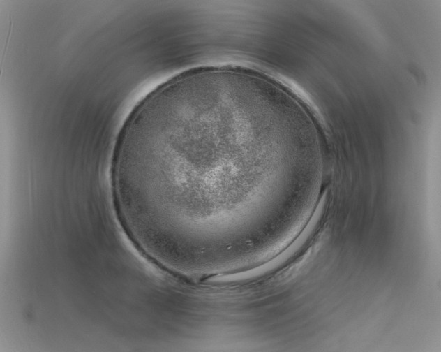X0000115770943200911131214