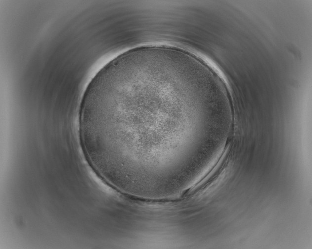 X0000115770951200911131214