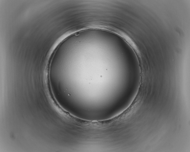X0000115770955200911131214
