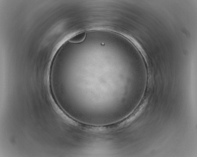 X0000115770957200911131214