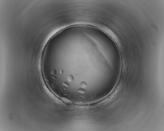 X0000115770958200911131214