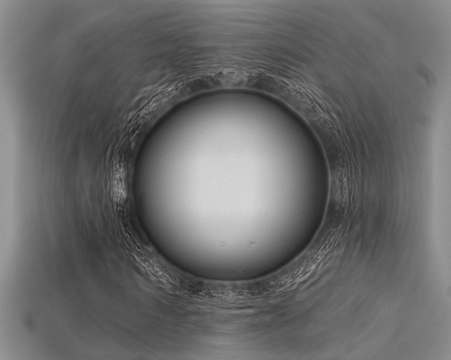 X0000115770962200911131213