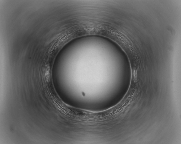 X0000115770963200911131213