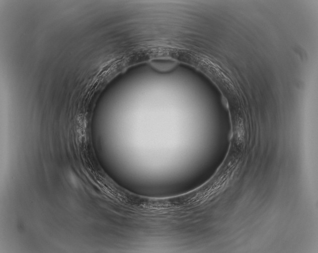 X0000115770964200911131213