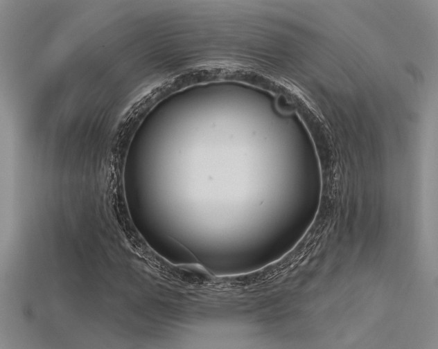 X0000115770967200911131213