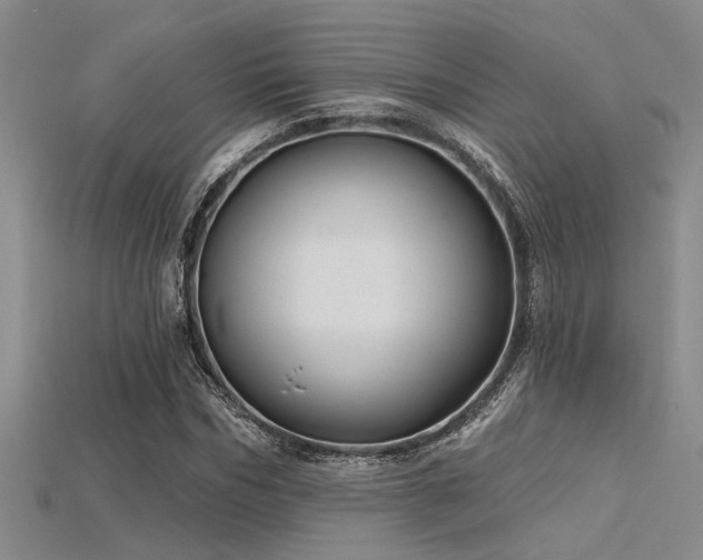 X0000115770970200911131213