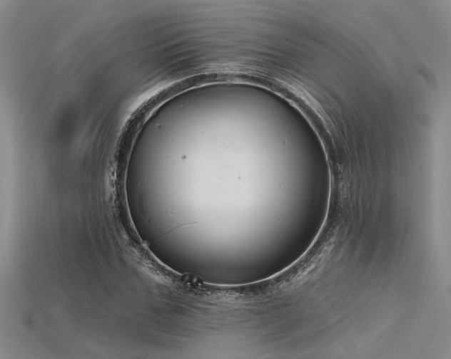 X0000115770971200911131213