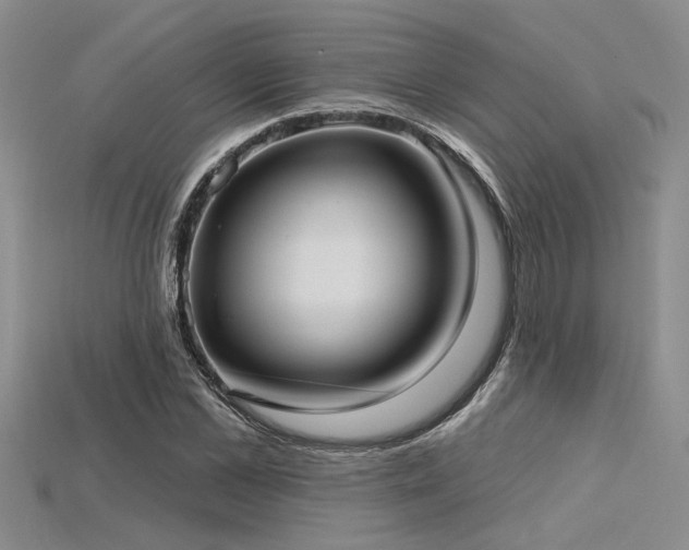 X0000115770973200911131213
