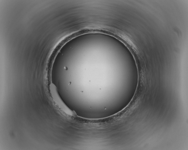 X0000115770976200911131213
