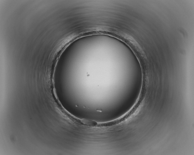 X0000115770977200911131213