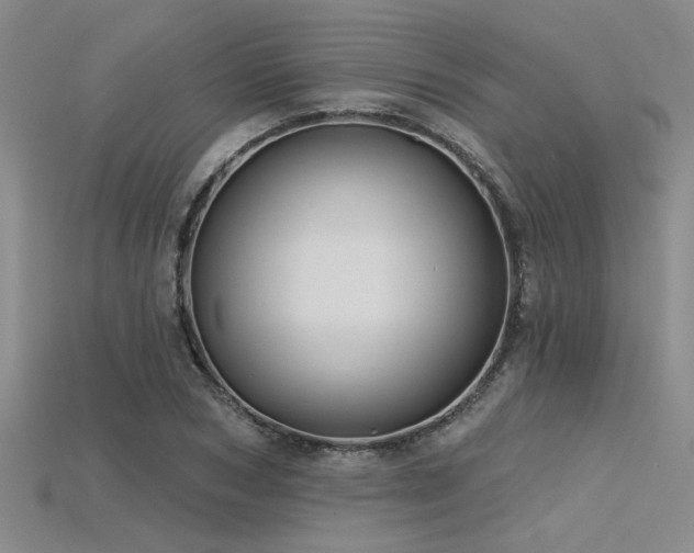X0000115770978200911131213