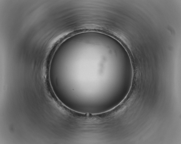 X0000115770979200911131213