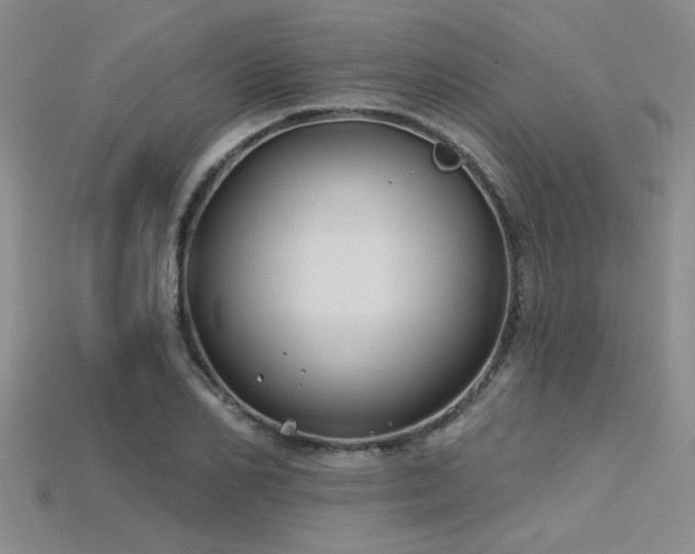 X0000115770982200911131213