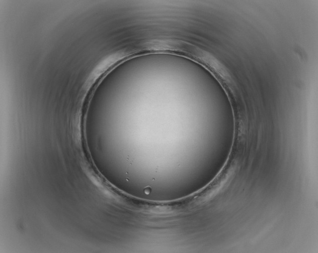 X0000115770986200911131213