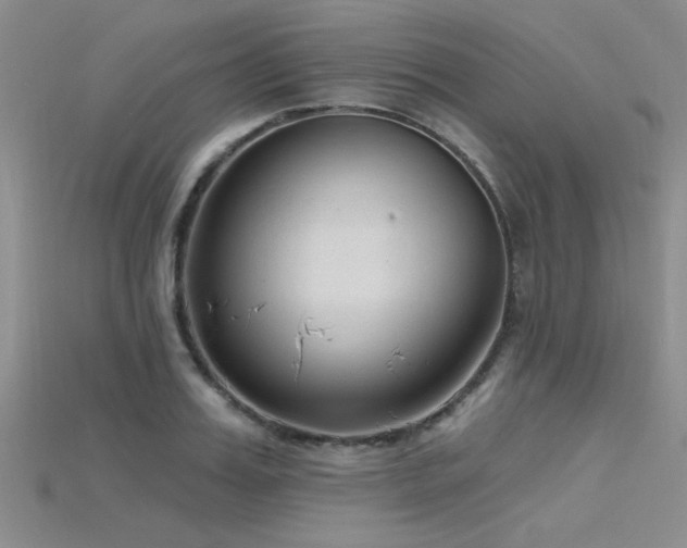 X0000115770987200911131213