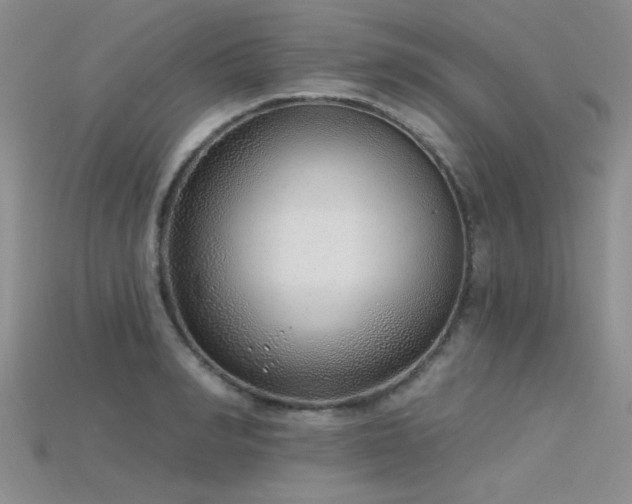 X0000115770990200911131213